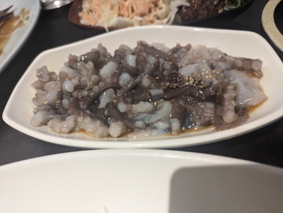 Octopus